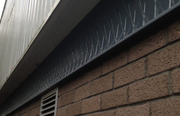 Bird Spiking installation of bird spiking to commercial unit