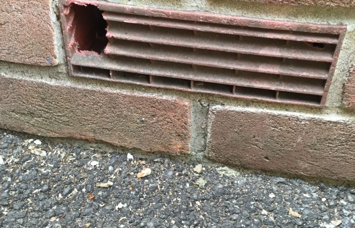 mouse damage to brick air vent - pest control