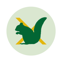Squirrel Control - Bentley Environmental Pest Control
