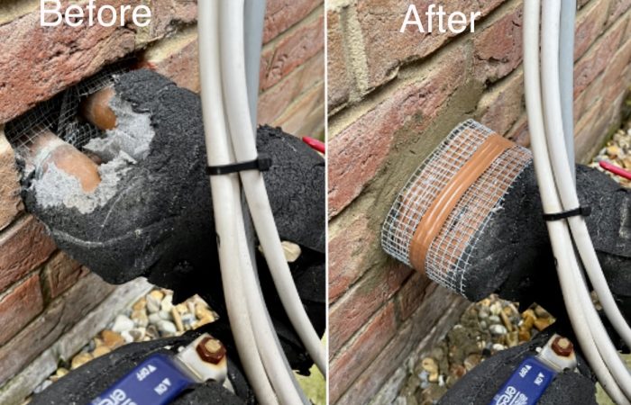 Bentley Environmental - Pest Services - Rodent Prrofing Pipes Bentley Environmental - Pest Services - Rodent Prrofing Pipes