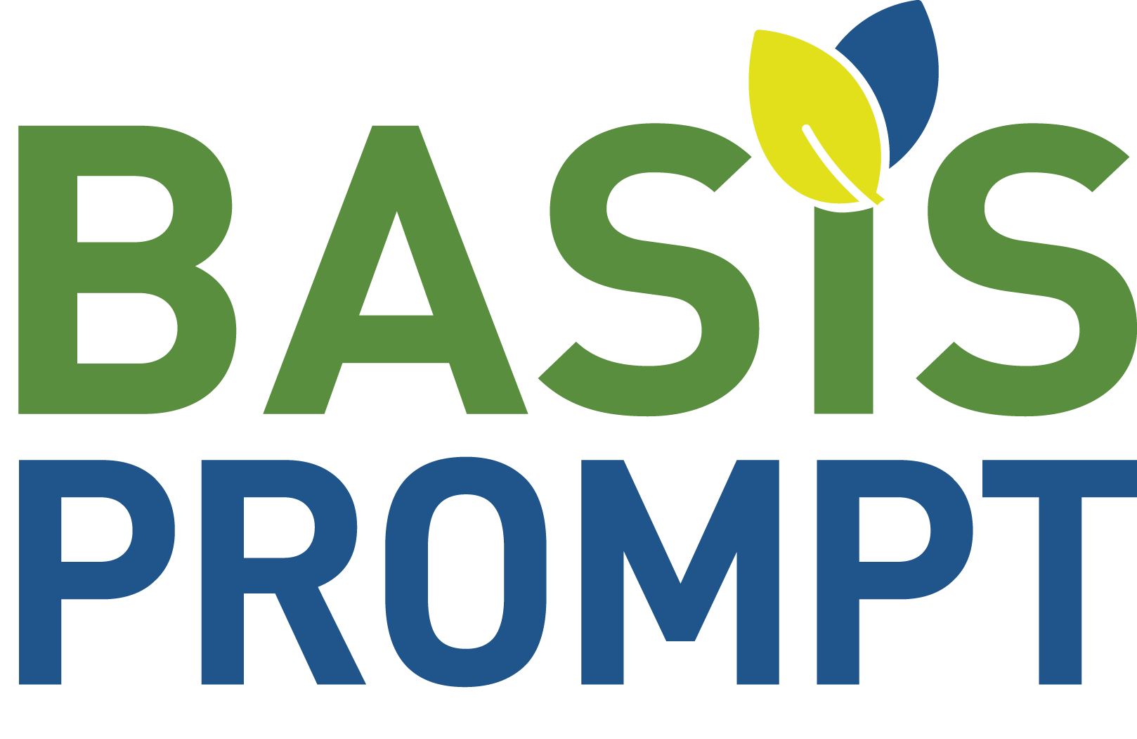 BASIS PROMPT logo