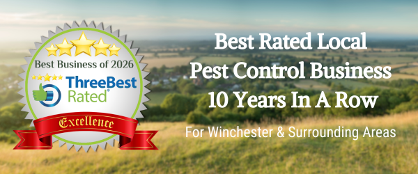 Bentley Environmental - Moth Control - Three Best Rated Winchester Pest Control Company
