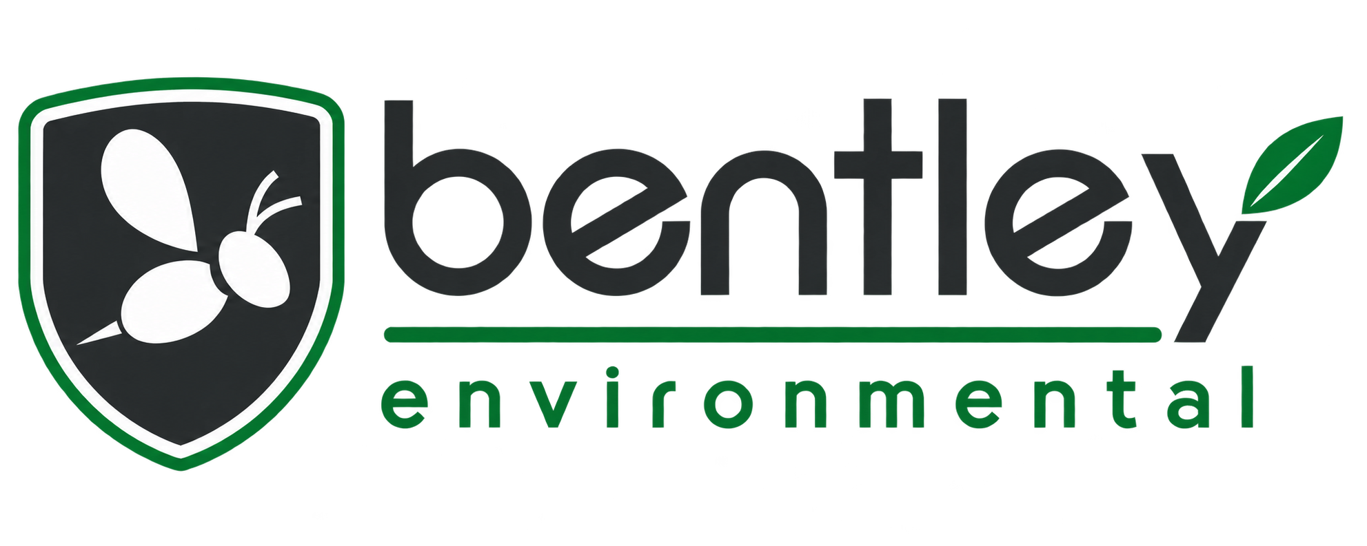 Bentley Environmental