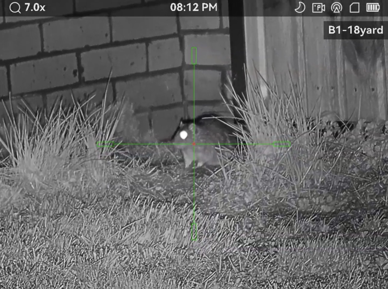 Rat beside a brick wall and wooden door, viewed through night-vision equipment