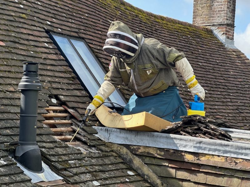 Bentley Environmental technician in protective wasp PPE treating a nest beside a tiled roof, with a yellow sprayer on the flat roof.